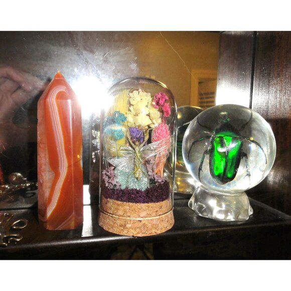 Flower Mantis Crystal & Flowers Oddity Jar insect taxidermy curiosity dome goth - Picture 4 of 13